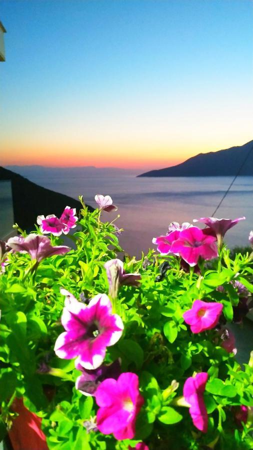 Alkyon Suites Agios Vasilios  Buitenkant foto